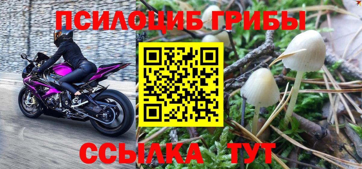 Орёл  купить   Вход с VPN  Псилоцибиновые грибы Magic Shrooms 